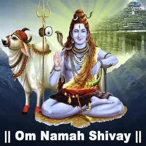 Om Namah Shivay image