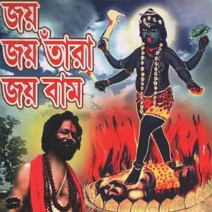 Joy Joy Tara Joy Bam image