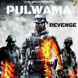 Pulwama Revenge R Jay