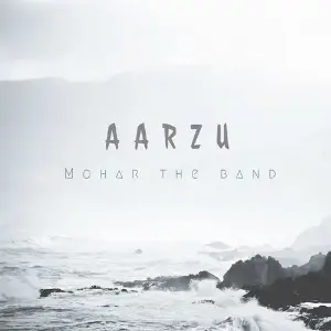 Aarzu image