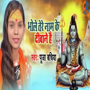 Bhole Tere Naam Ke Deewane Hai image