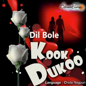 Dil Bole Kookdukoo image