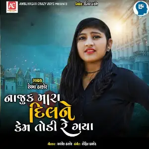 Najuk Mara Dil Ne Kem Todi Re Gaya image