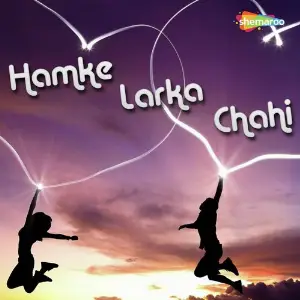 Hamke Larka Chahi image