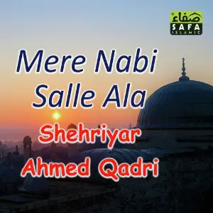 Mere Nabi Salle Ala image