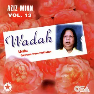 Wadah, Vol. 13 image