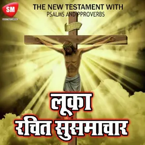 Hindi Bible Book -Luka Rachit Susamacha Bro Deelip