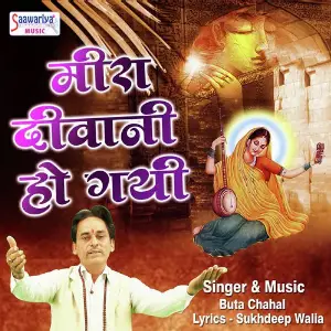 Meera Diwani Ho Gayi image