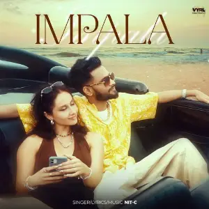 Impala image