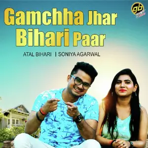 Gamchha Jhar Bihari Paar image