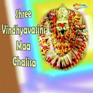 Shree Vindhyavasini Maa Chalisa image