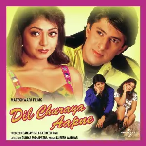 Dil Churaya Aapne Various Artists