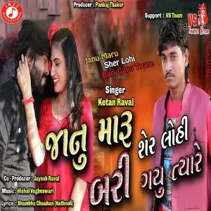 Janu Maru Sher Lohi Bari Gayu Tyare image