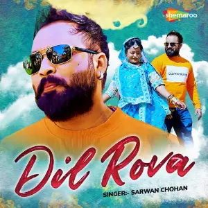 Dil Rova image
