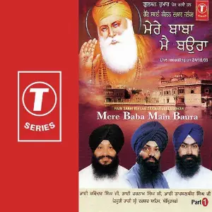Mere Baba Main Baura (Part 1) Various Artists