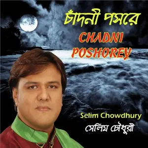 Chadni Poshorey image
