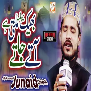 Betalab Bheek Yahan Milti Hai - Single image