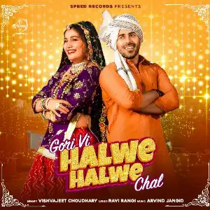 Gori Vi Halwe Halwe Chal image