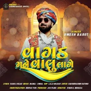 Vagad Mane Valu Lage image