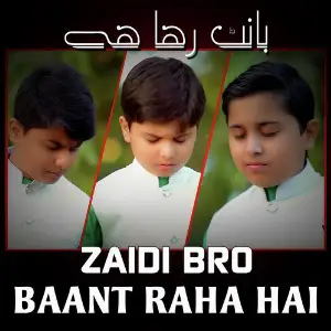 Baant Raha Hai image