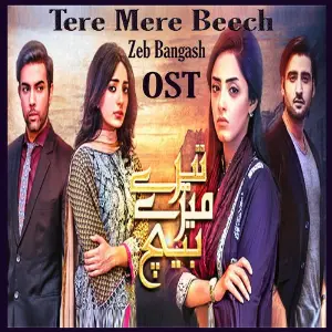Tere Mere Beech image