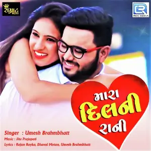 Mara Dil Ni Rani image