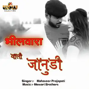 Bhilwara Wali Janudi image