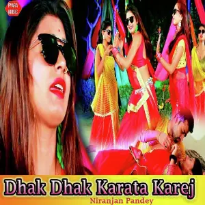 Dhak Dhak Karata Karej image
