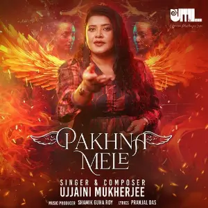 Pakhna Mele image