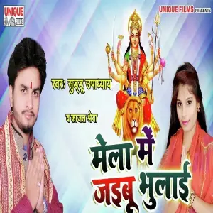 Mela Me Jaibu Bhulaai image