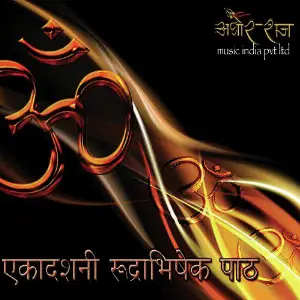 Ekadashni Rudrabhishek Path Pt Vijayashankar