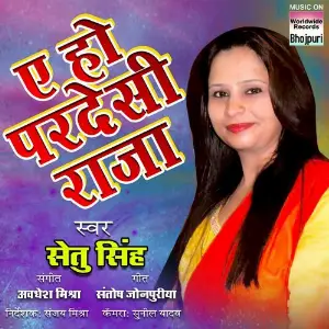 Ae Ho Pardesi Raja image