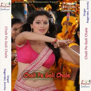 Choli Pe Goli Chale image