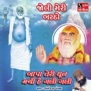 Joli Meri Bhardo image