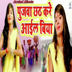 Pujva Chhath Kare Aail Biya image