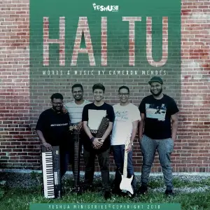 Hai Tu image
