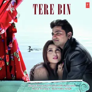 Tere Bin image