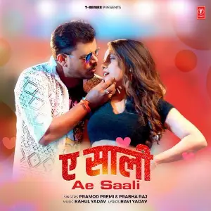 Ae Saali image