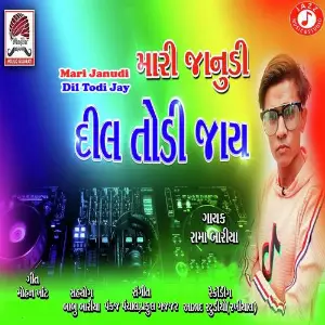 Mari Janudi Dil Todi Jay image
