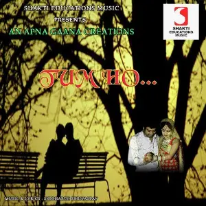 Tum Ho image
