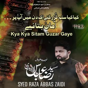 Kya Kya Sitam Guzar Gaye - Single image