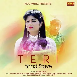Teri Yaad Stave image