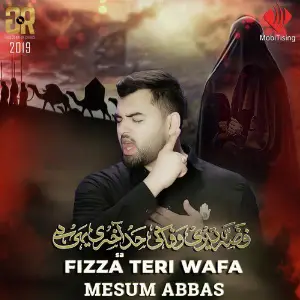 Fizza Teri Wafa - Single image