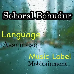 Sohoral Bohudur image