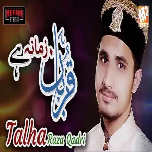 Qurban Zamana Hai - Single image