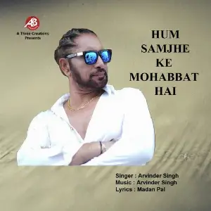 Hum Samjhe Ki Mohobbat Hai image
