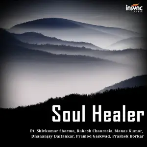 Soul Healer Various Artists