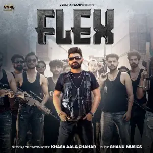 Flex image
