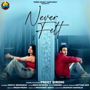 Never Felt image