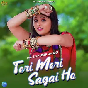 Teri Meri Sagai Ho - Single image
